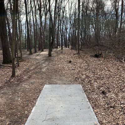 Hole 16 long tee