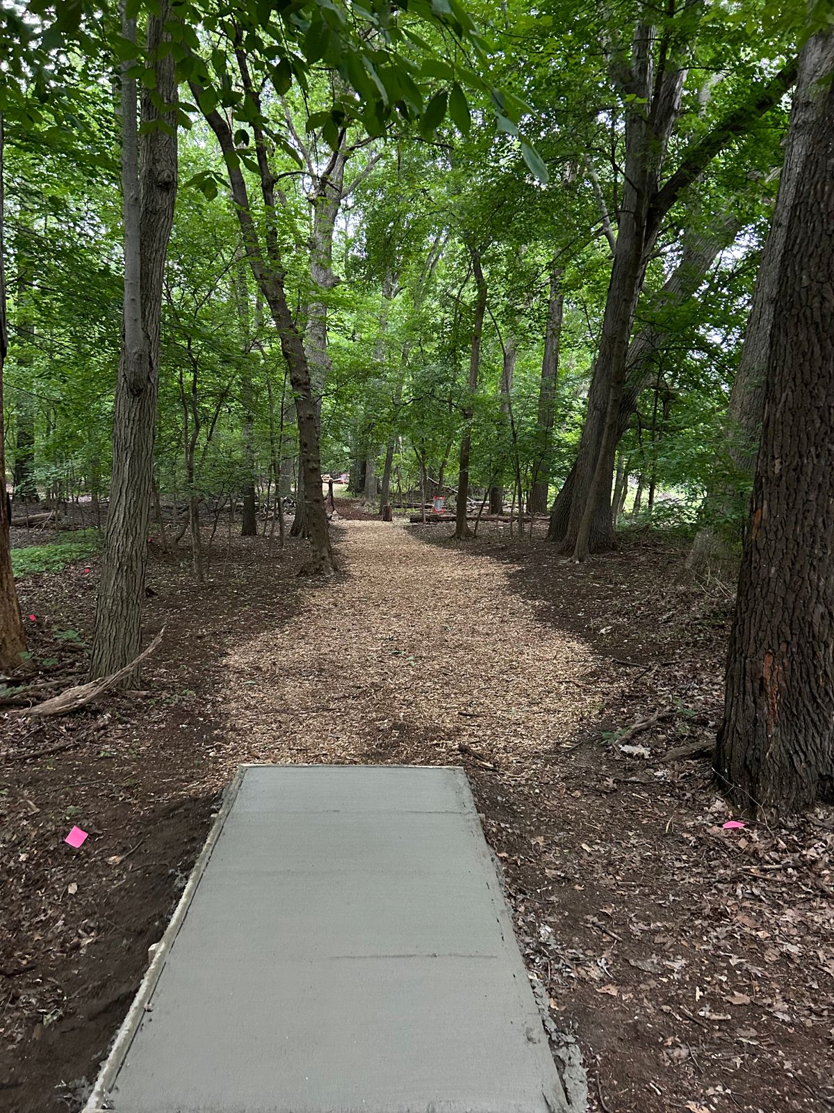 Hole 2 tee pad