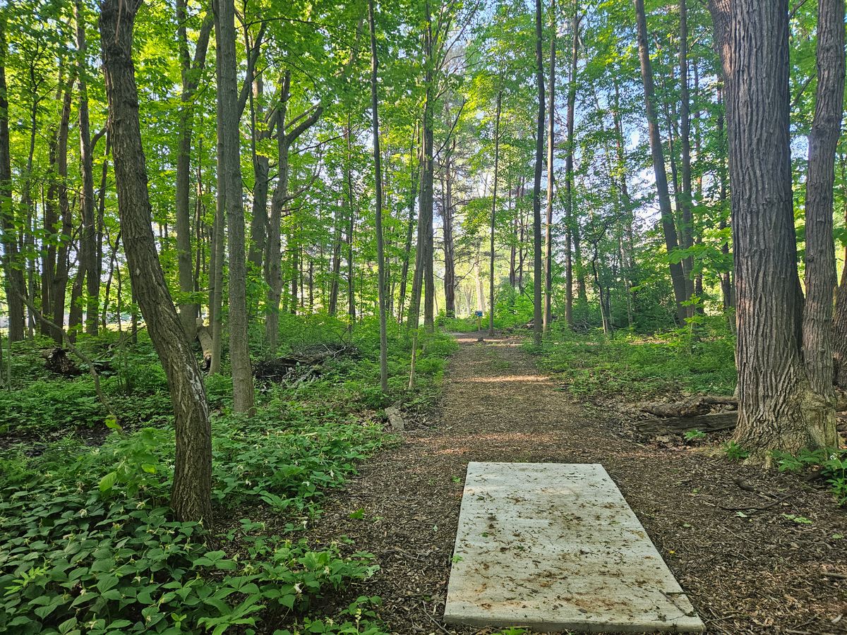 Hole 7 Long Teepad
