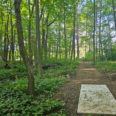 Hole 7 Long Teepad
