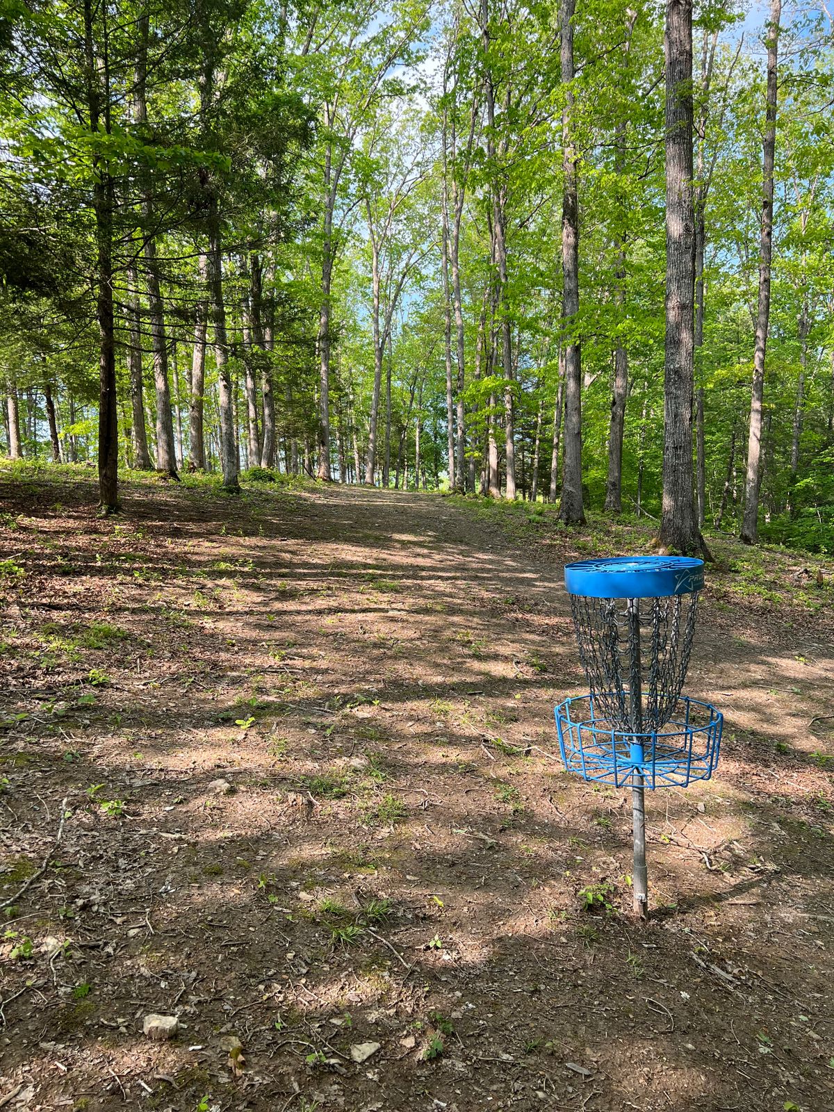 Hole 3 Basket to Tee