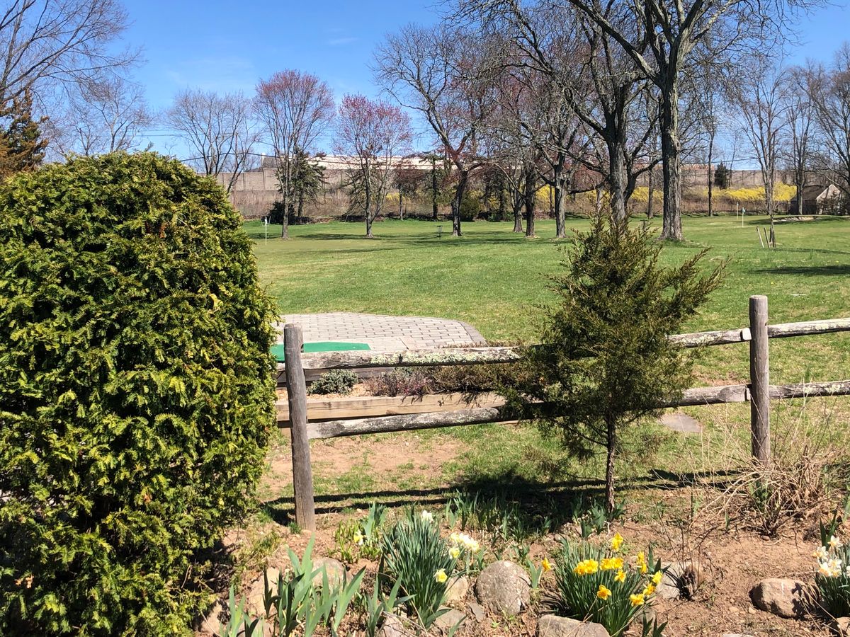 1st Tee.  Basket up ahead where tree rows meet.