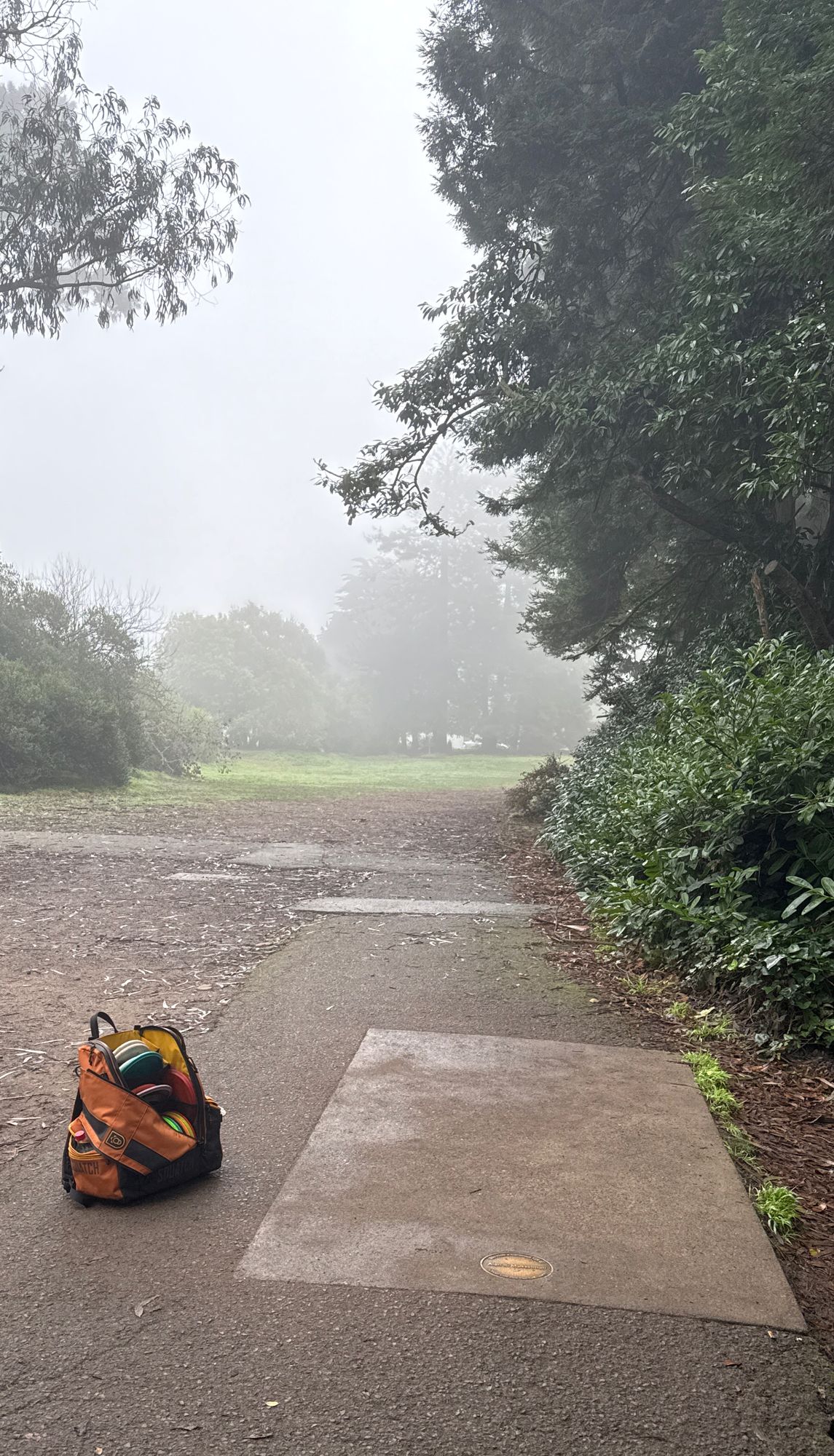 Hole 10 foggy vibes