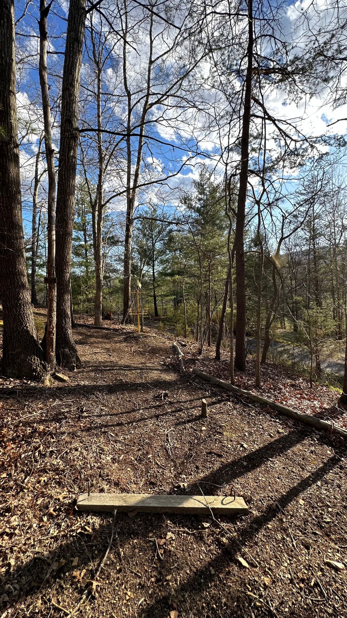 Original back 9 / Roger Wolfe.  The basket scene is not the basket for this hole and is out of bounds.  