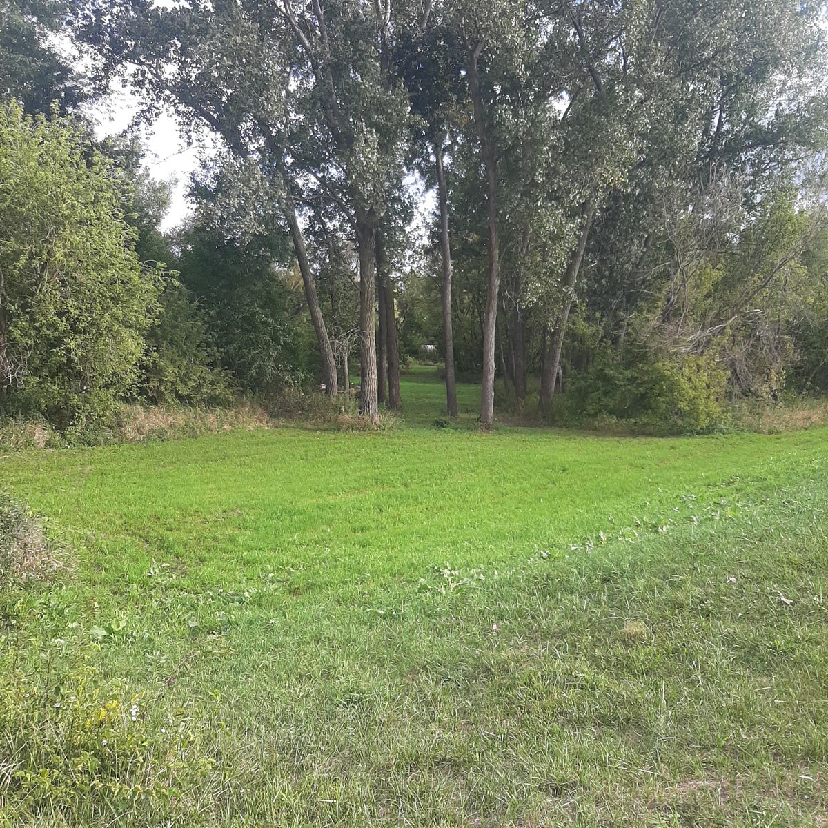 Hole 2 Blind Shot. Hole 2 has launching pads on top of the leavy, but they are just grass pads. The basket is on the other side of the leavy, most are unable to see the hole from the launching position. 