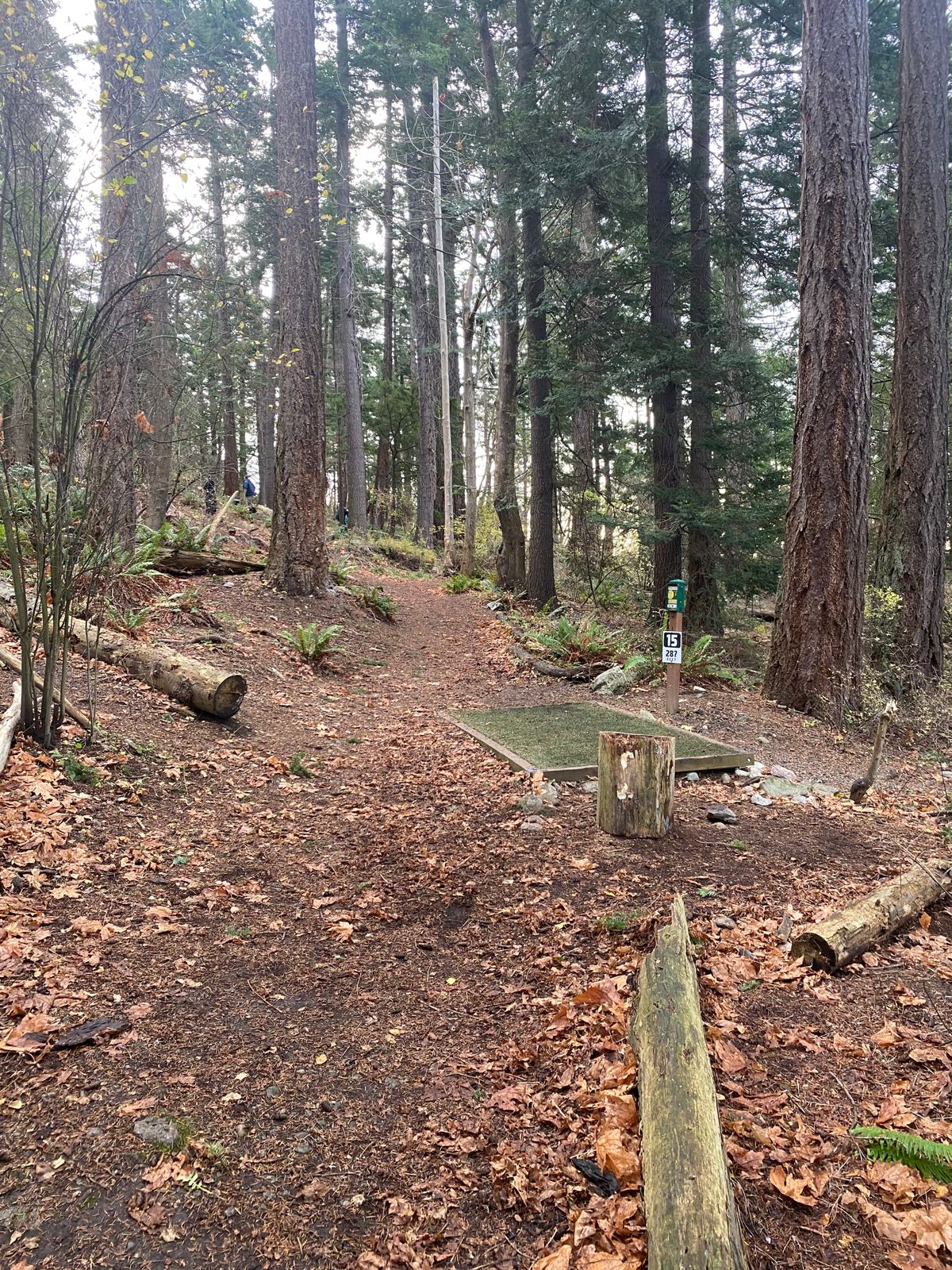 Hole 6/15 new tee pad