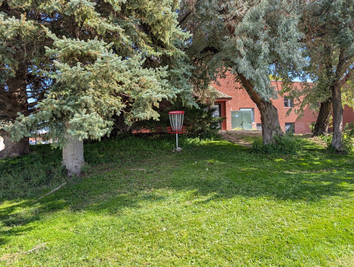 Hole 10 basket