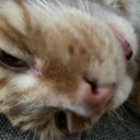 User avatar image