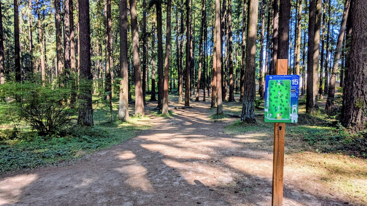 Hole 15 Tee - so iconic, so many trees