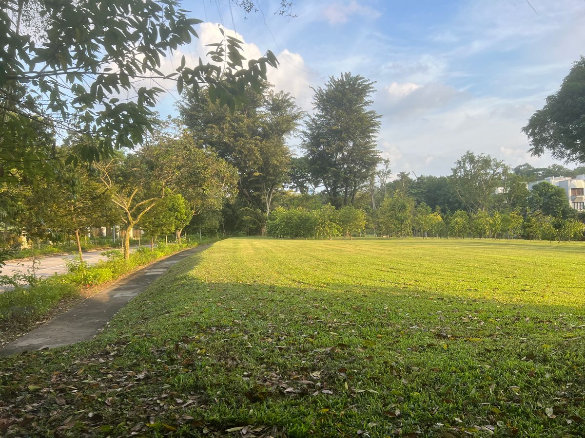 Hole 8 from the tee area, looking towards double mando in the distance with OB sidewalk on the left.