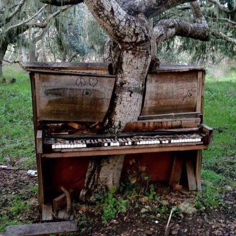 The old piano on Hole 8 (no longer there).