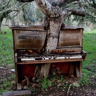 The old piano on Hole 8 (no longer there).