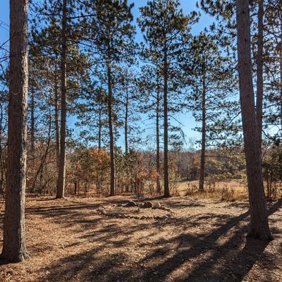 Hole 8 basket (old hole 5)
