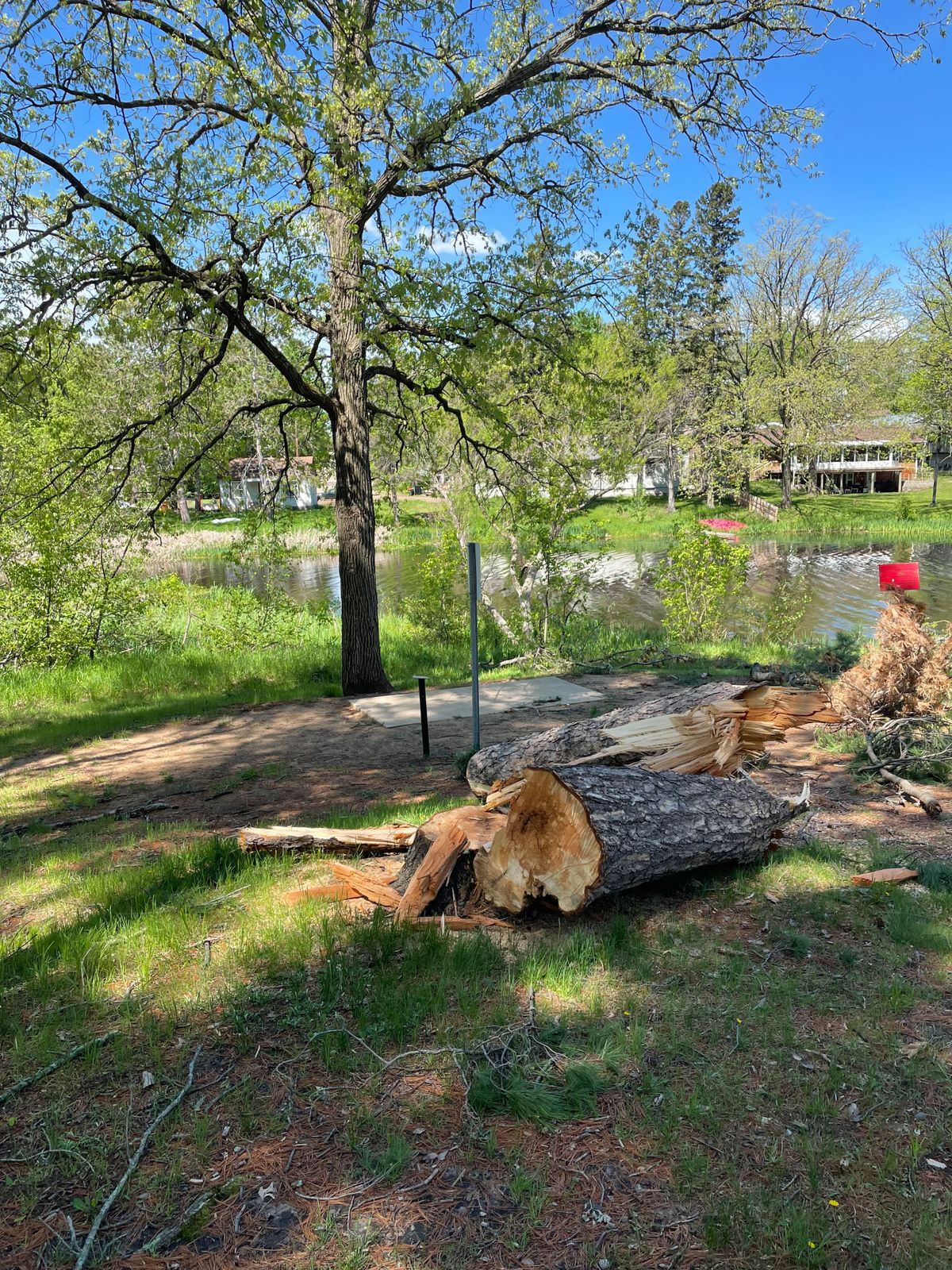 Lots of trees down from recent storms but crews were out clearing.