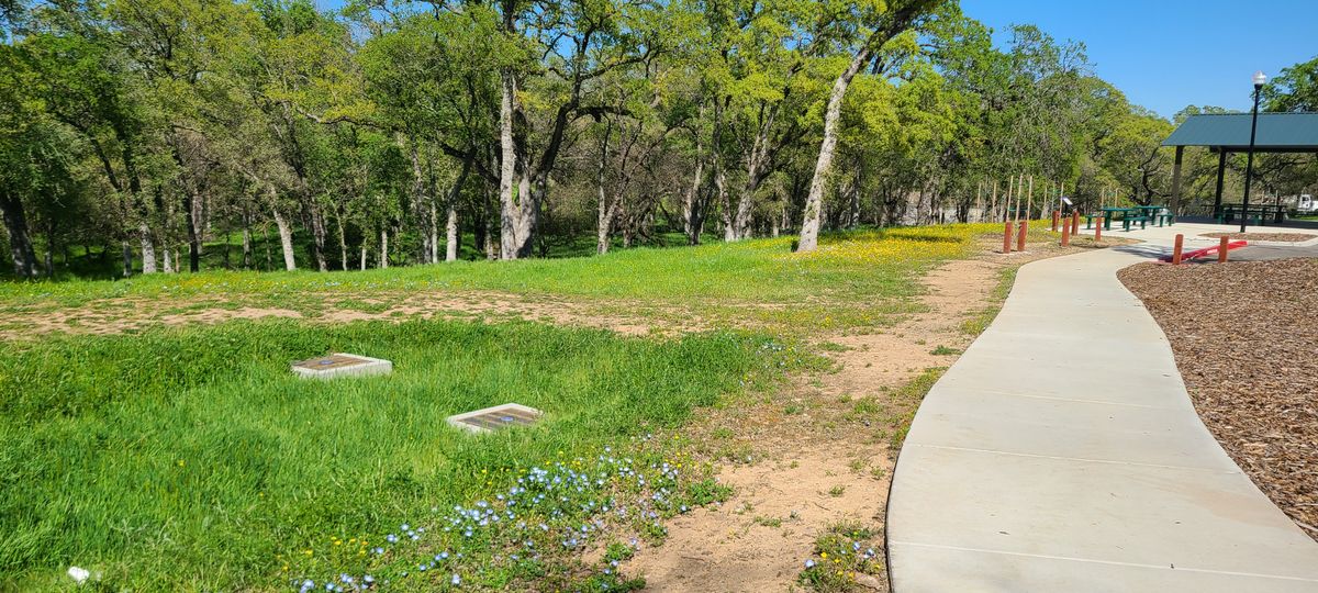 Course is located in a nice park