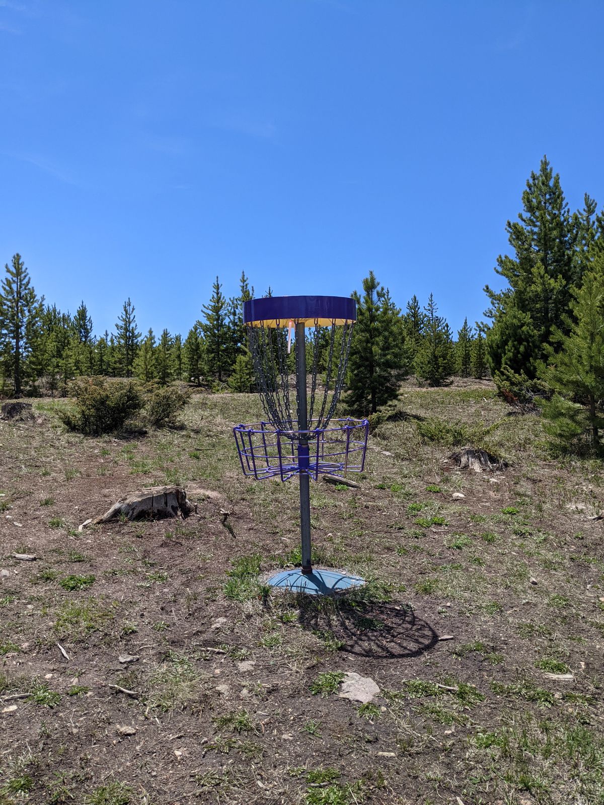 Hole 12 green