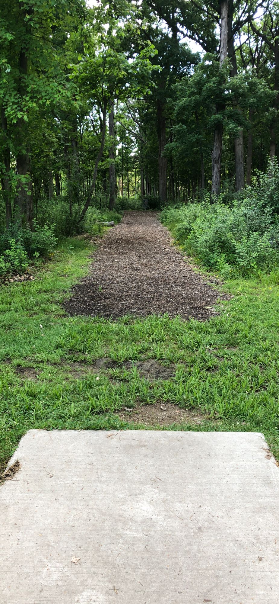 Hole 3