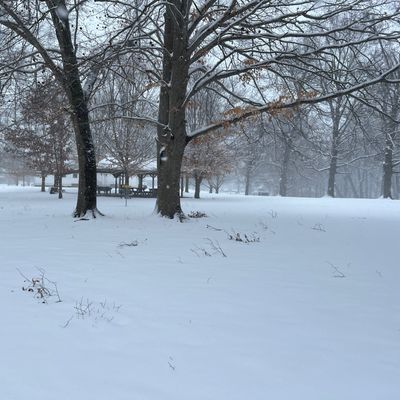 #9 Fairway