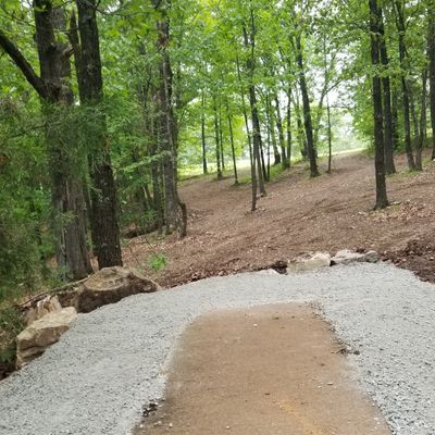 #11 on the new designed Treehouz 2021 18 hole course