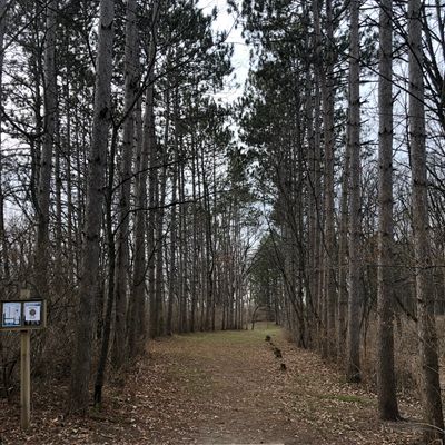 Hole 18