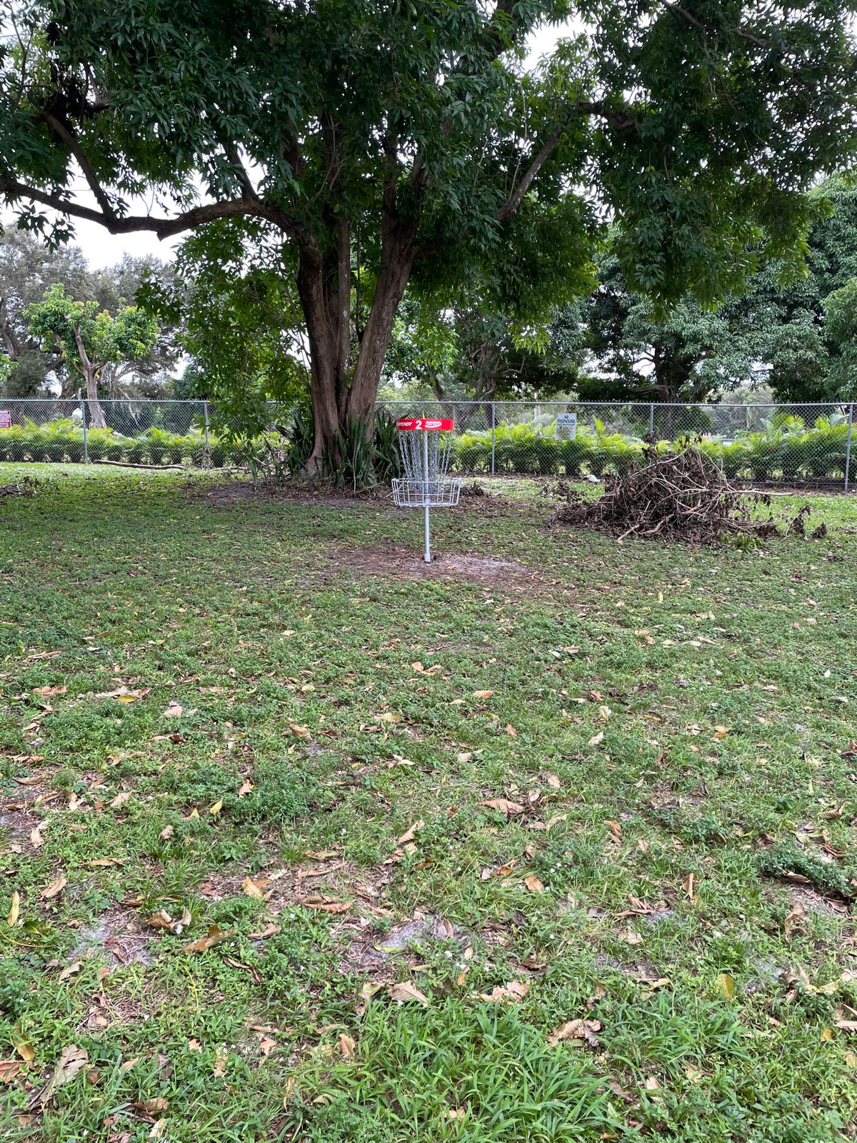 Hole 2 Basket