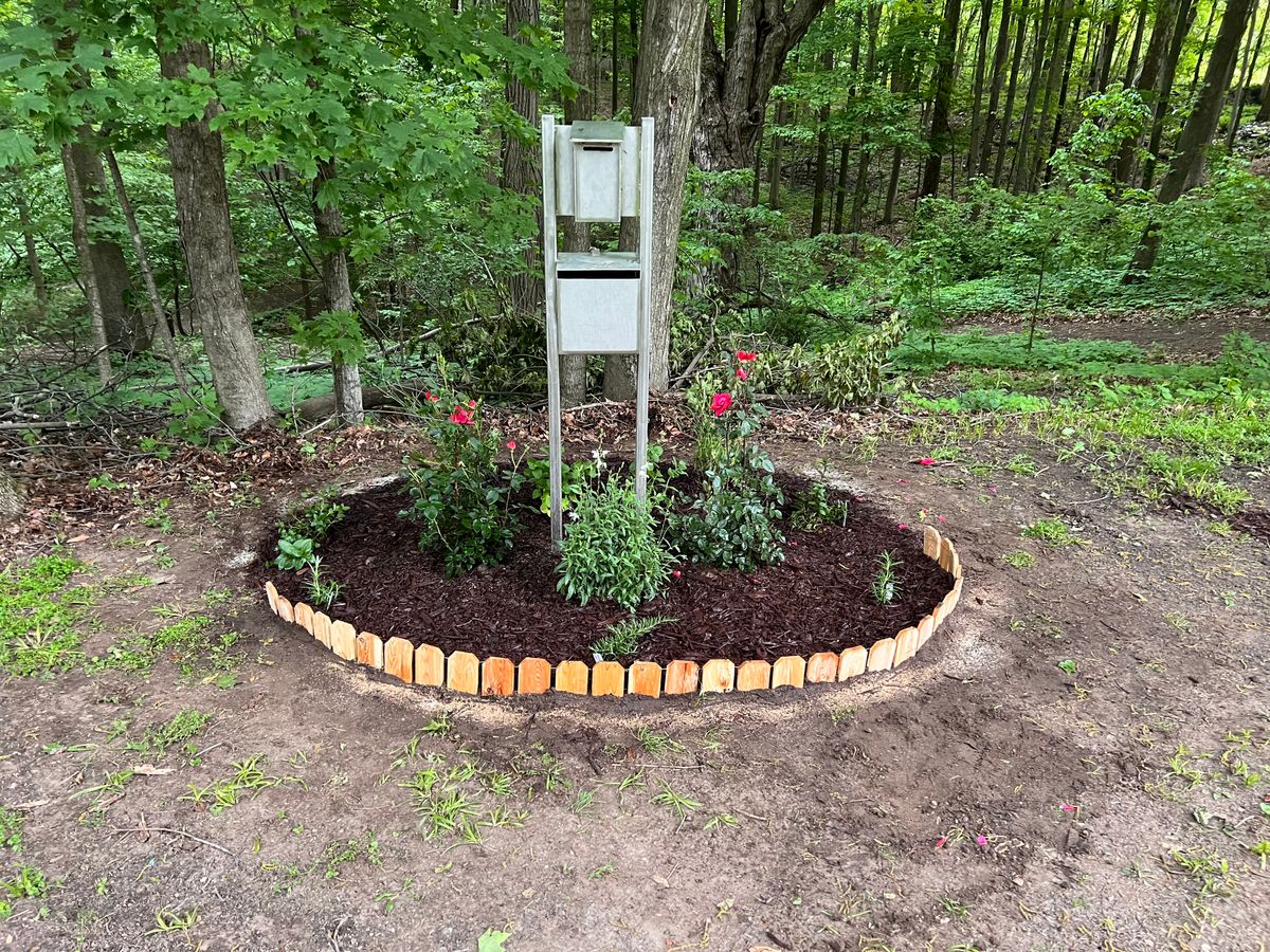 Donation box/Disc return