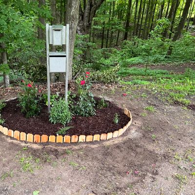 Donation box/Disc return