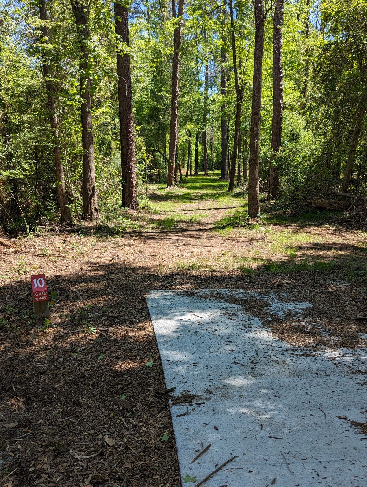 Hole 10 Red Pad