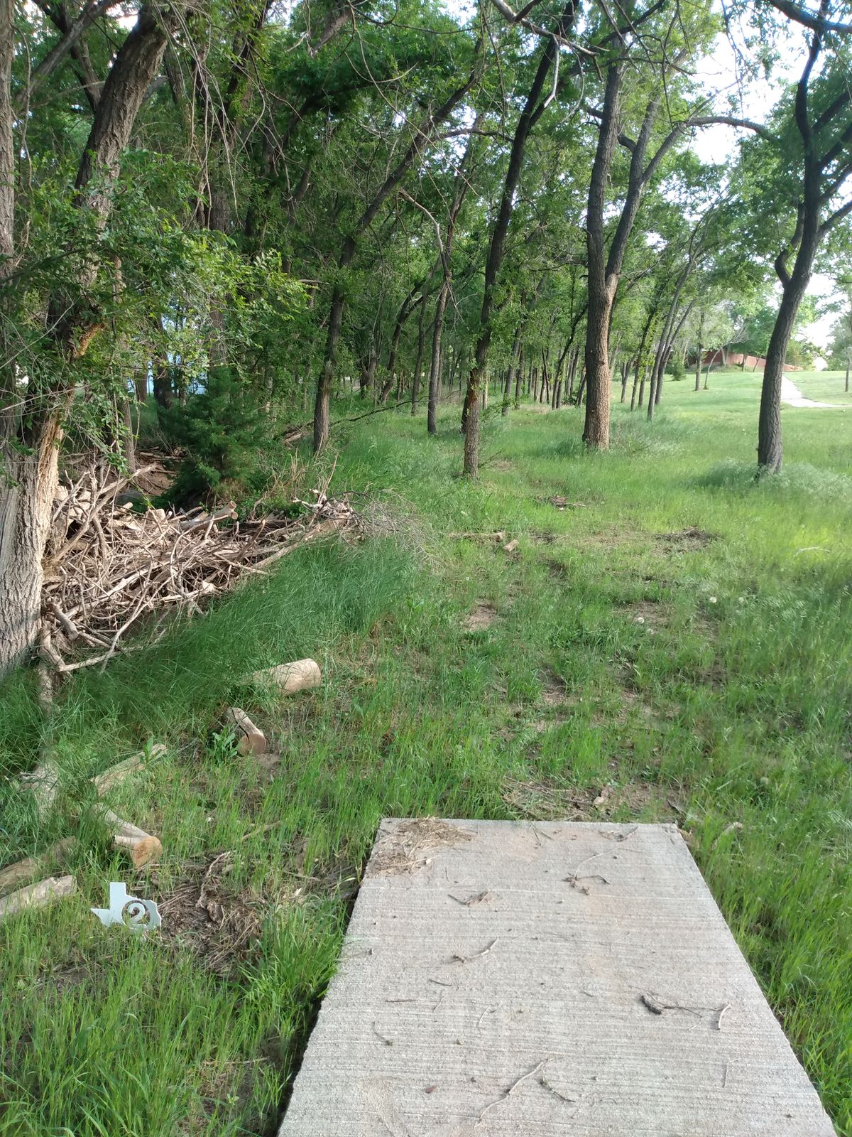 Lots of trees on 2.... Hard to locate basket