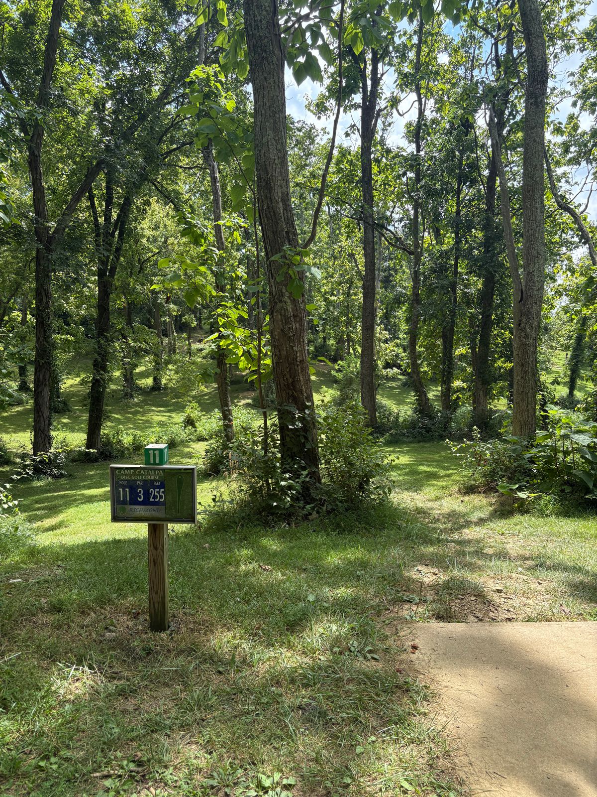 Lots of trees.