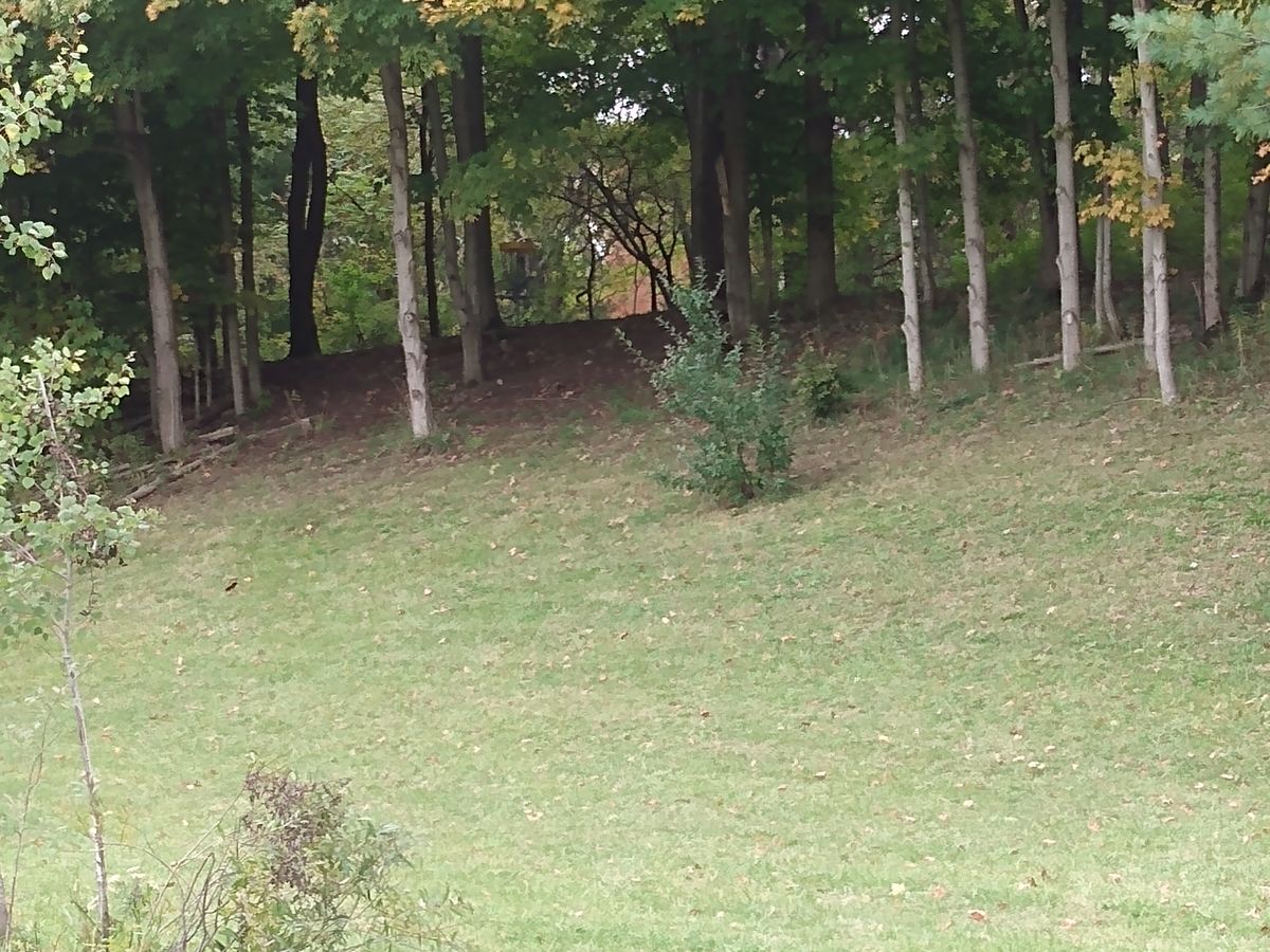Hole #11 from the second turn
