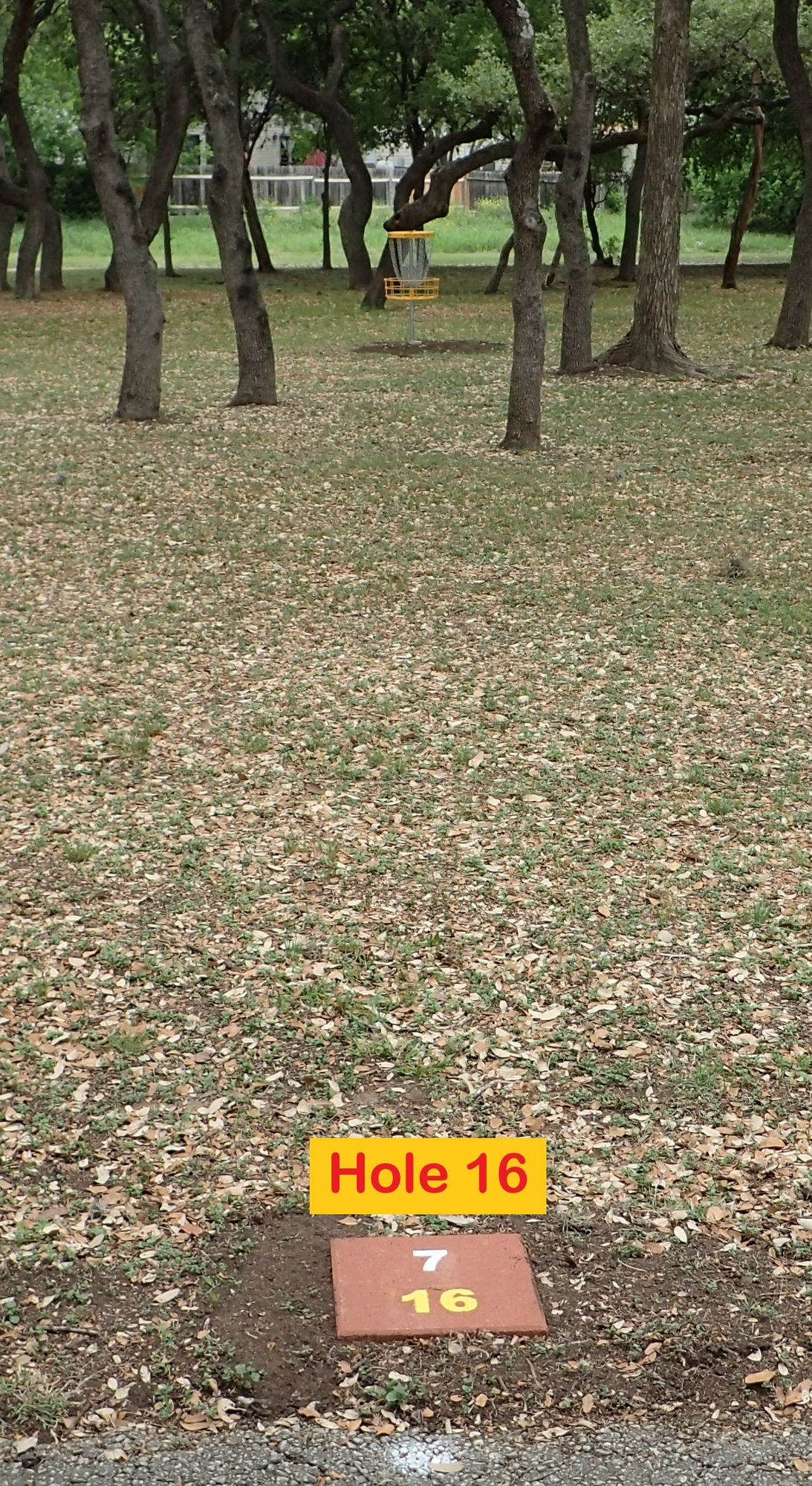 Hole 16