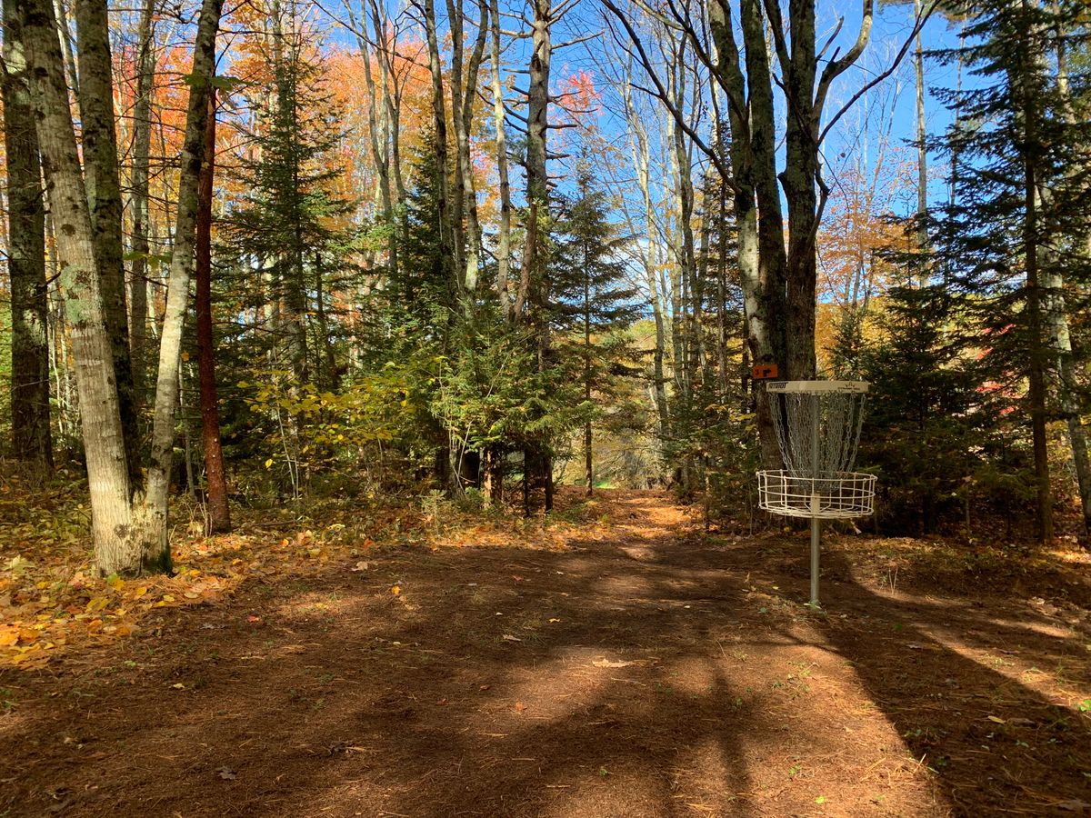 Hole 2 basket