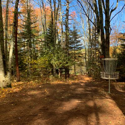 Hole 2 basket