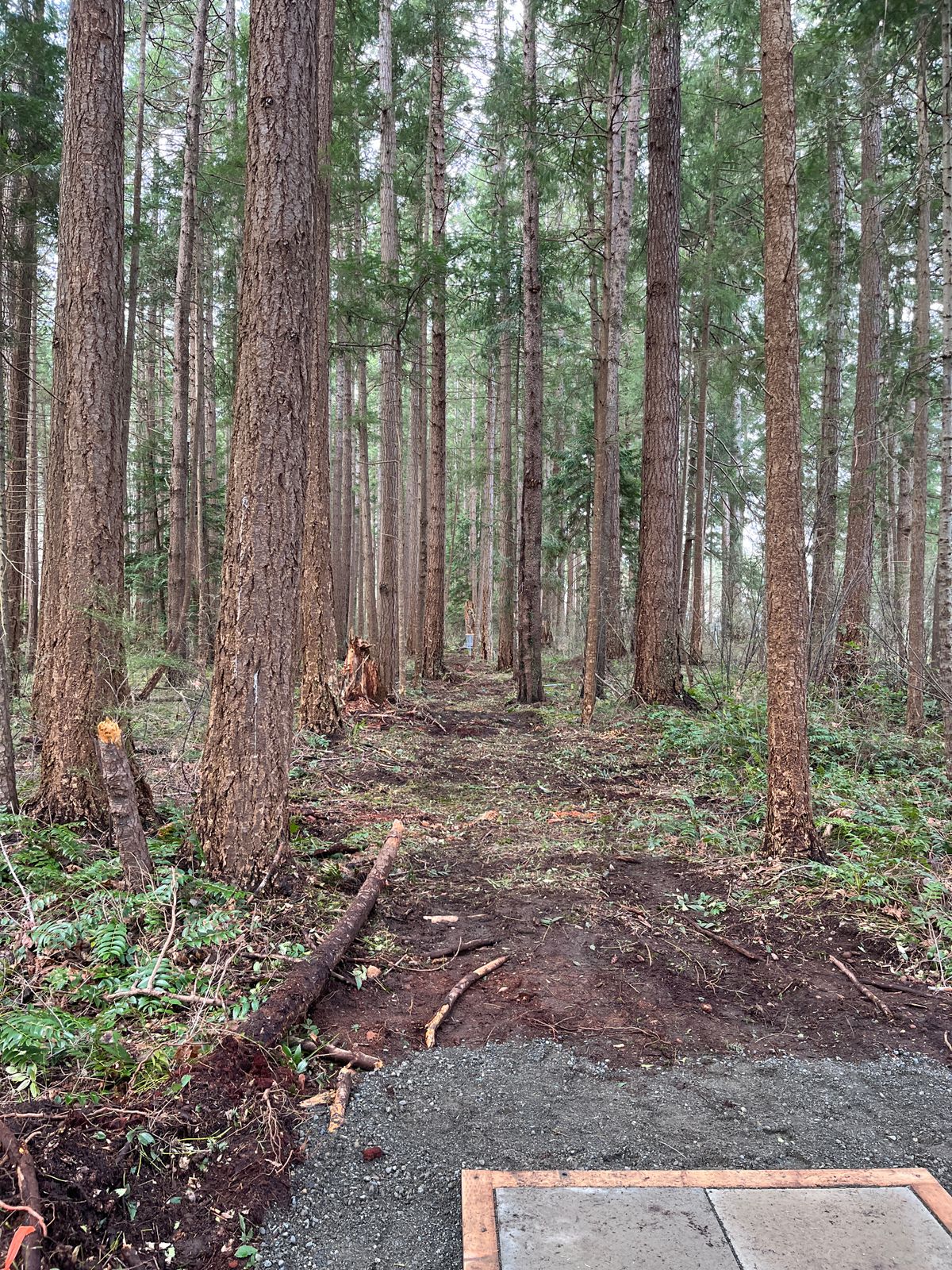 Hole 9