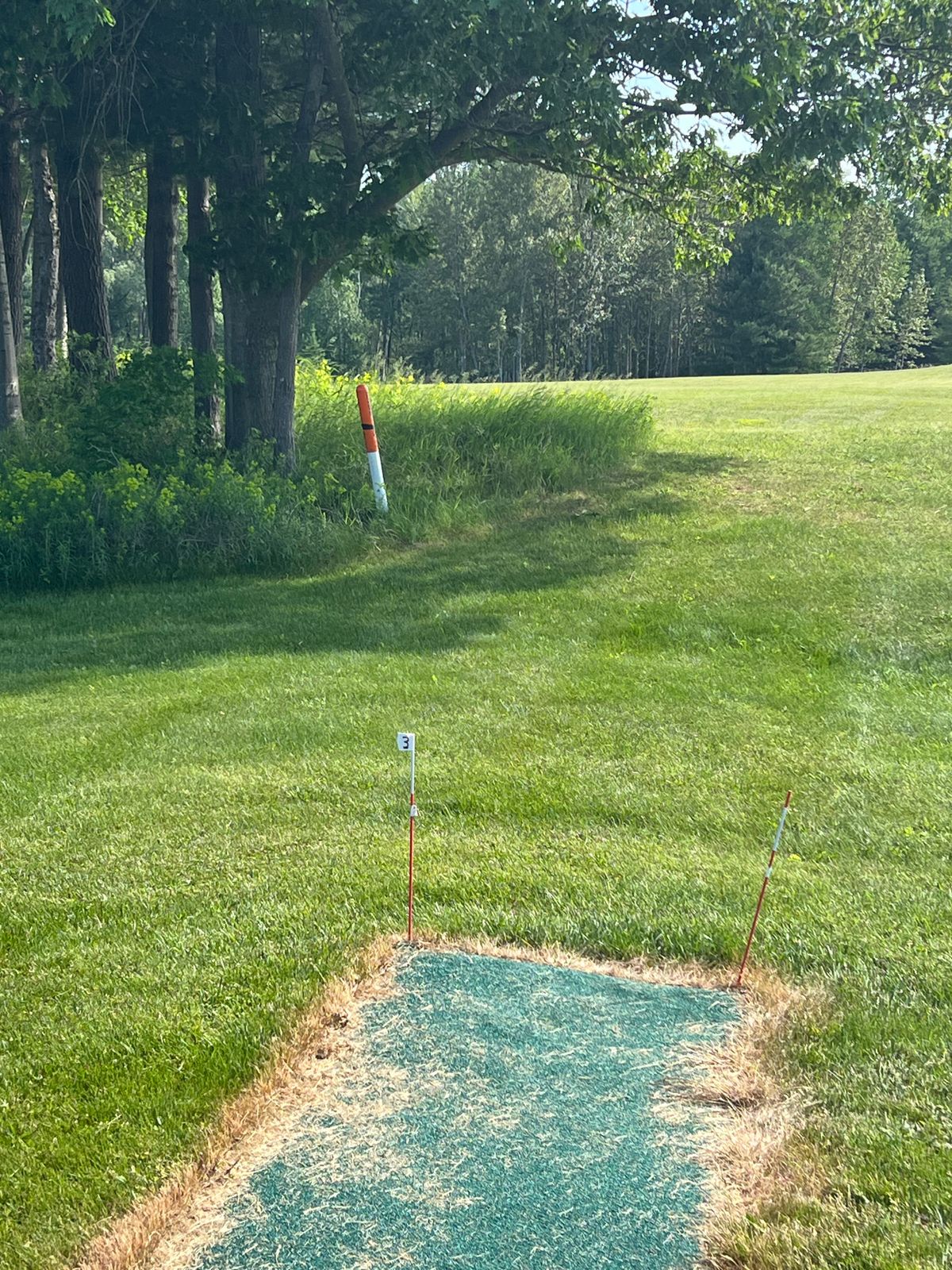 Tee pad 3 - Follow the line of trees to the basket, with a Mando right of the first tree