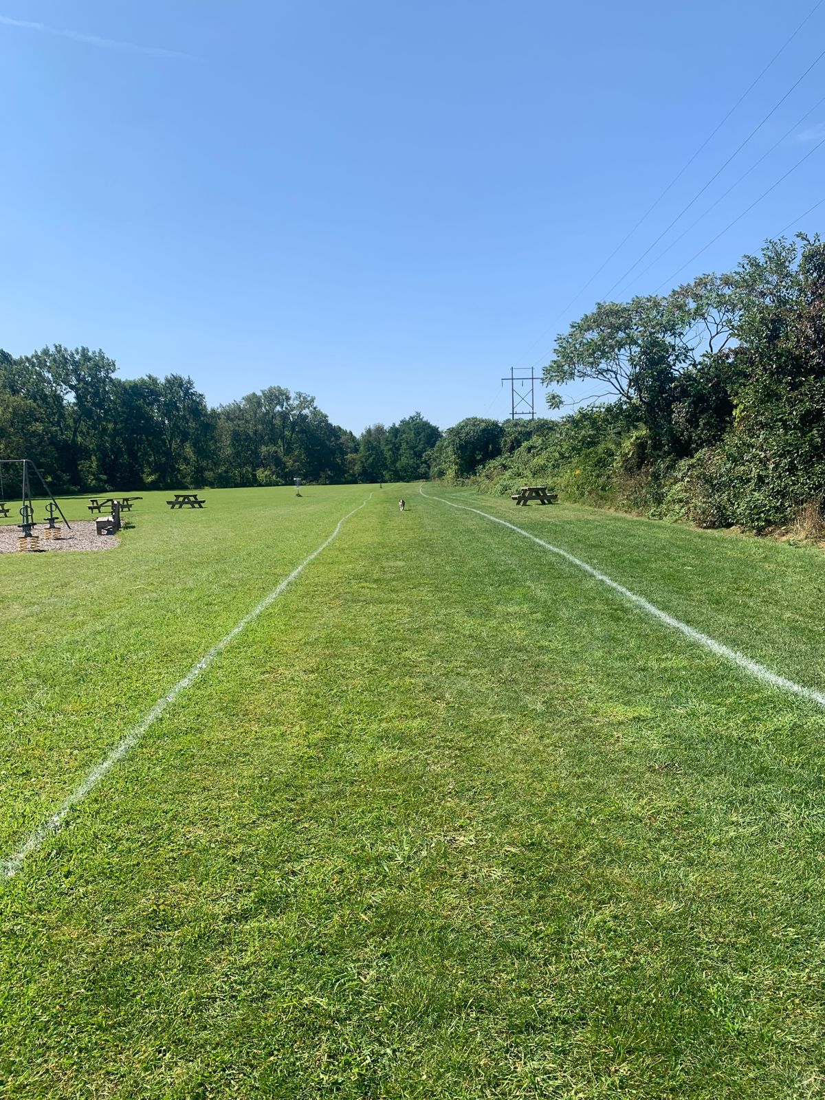 View walking towards tees and basket of hole 1