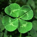 luckbb22