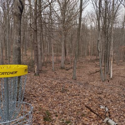 a tee and markers in the woods