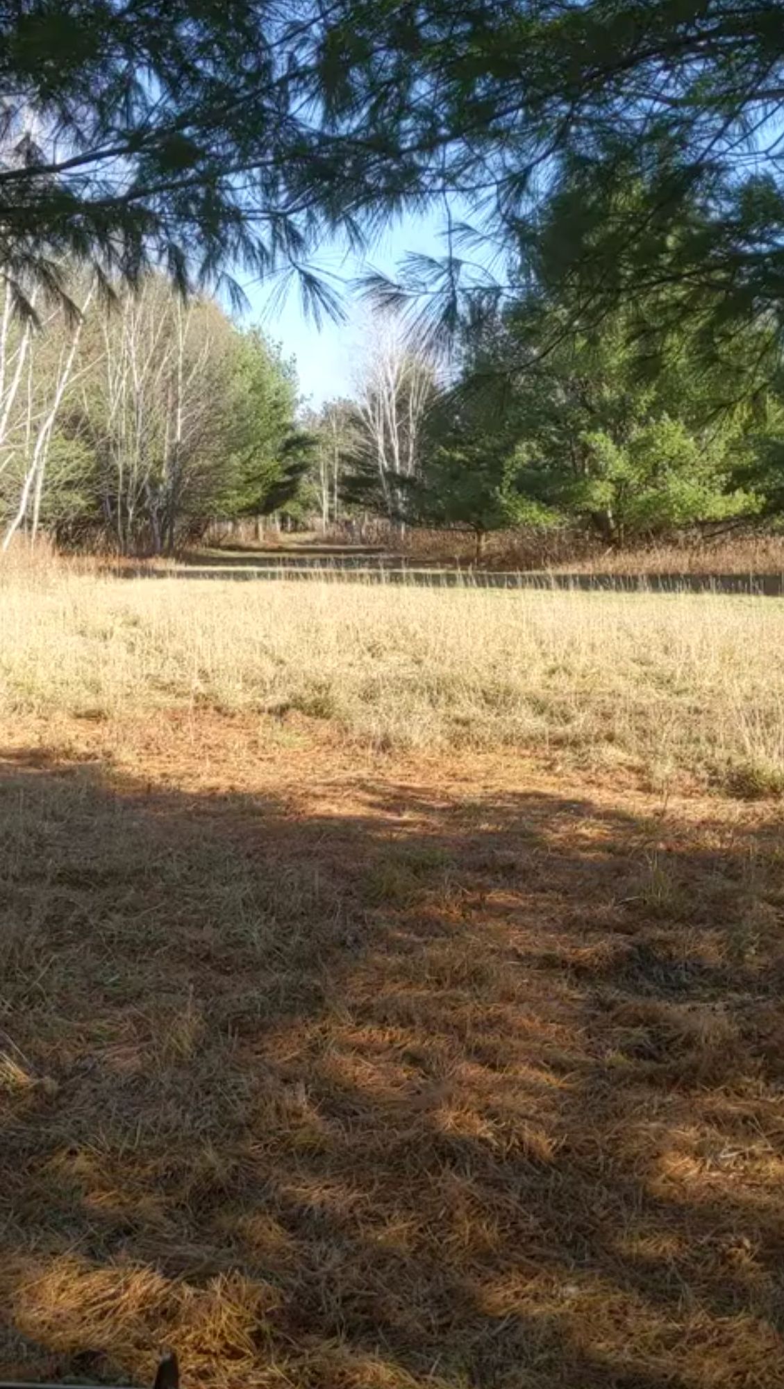 Hole 1