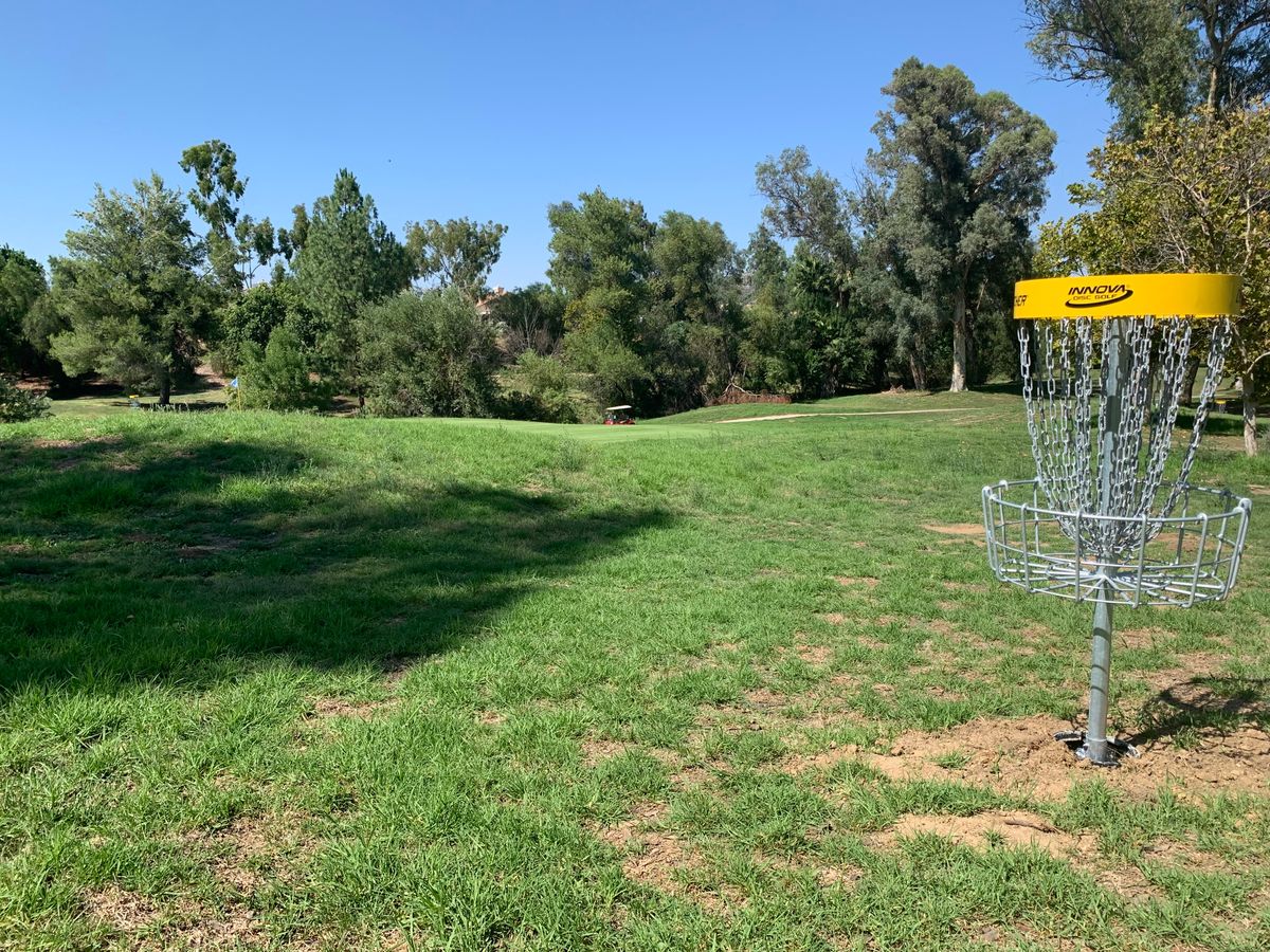Alpha Hole 14 Basket