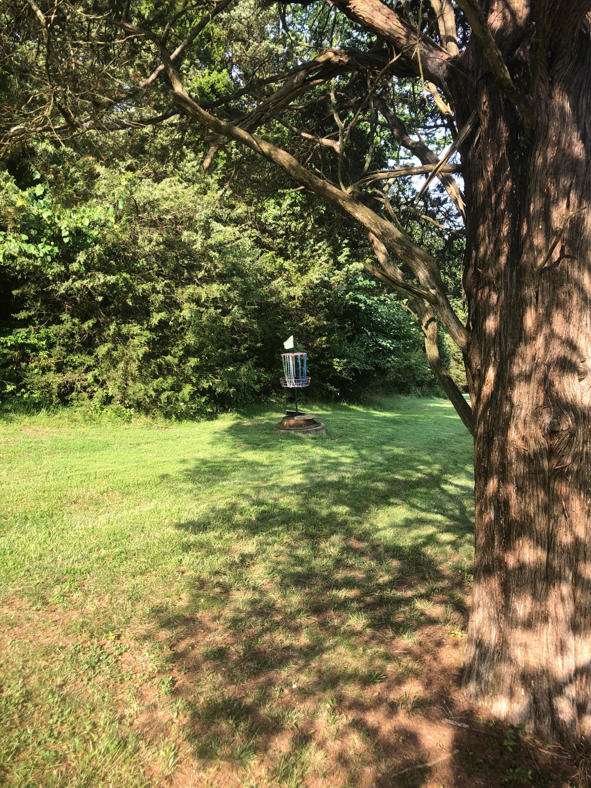 Hole 7 green