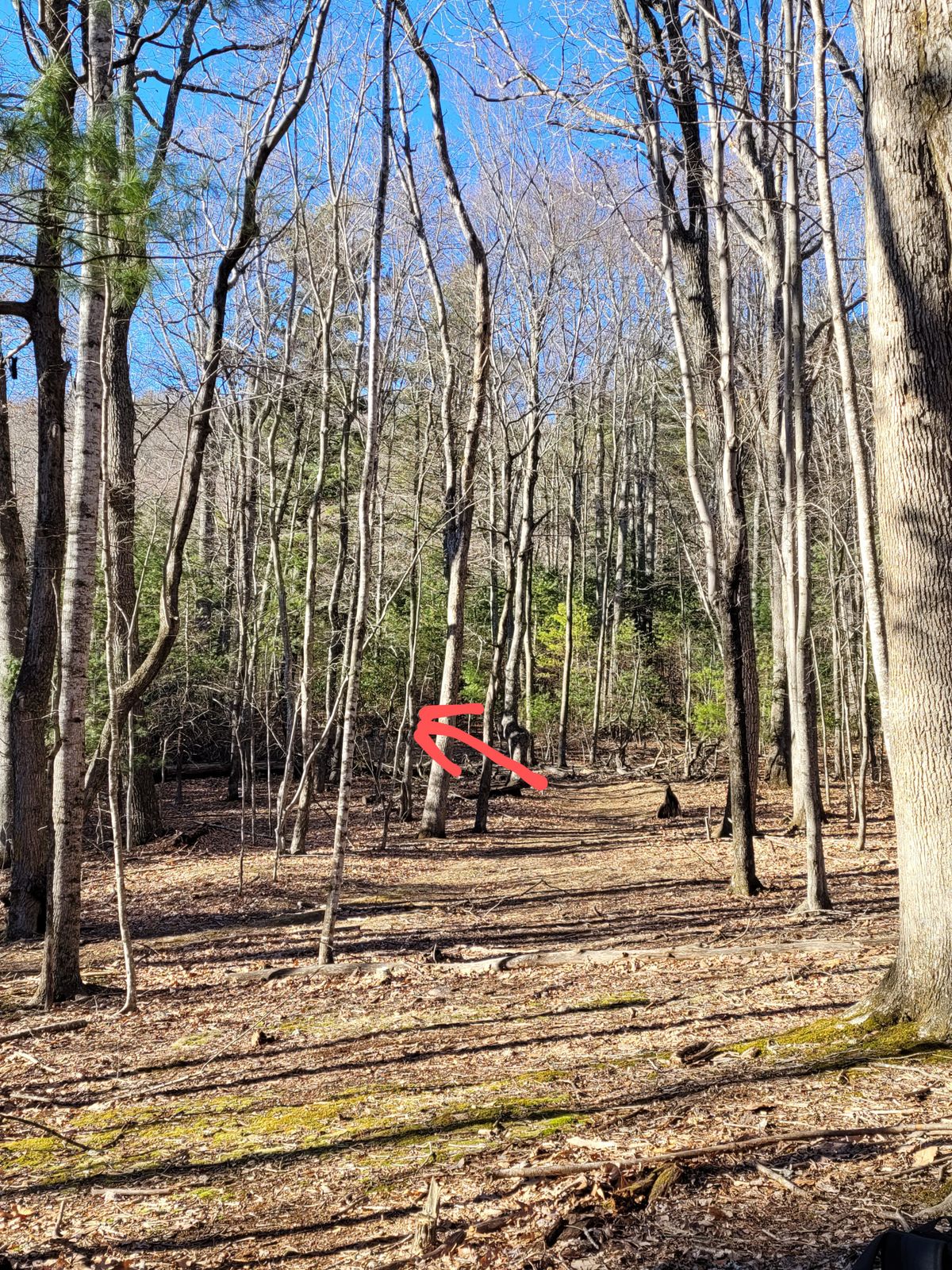 Hole #11 from pad