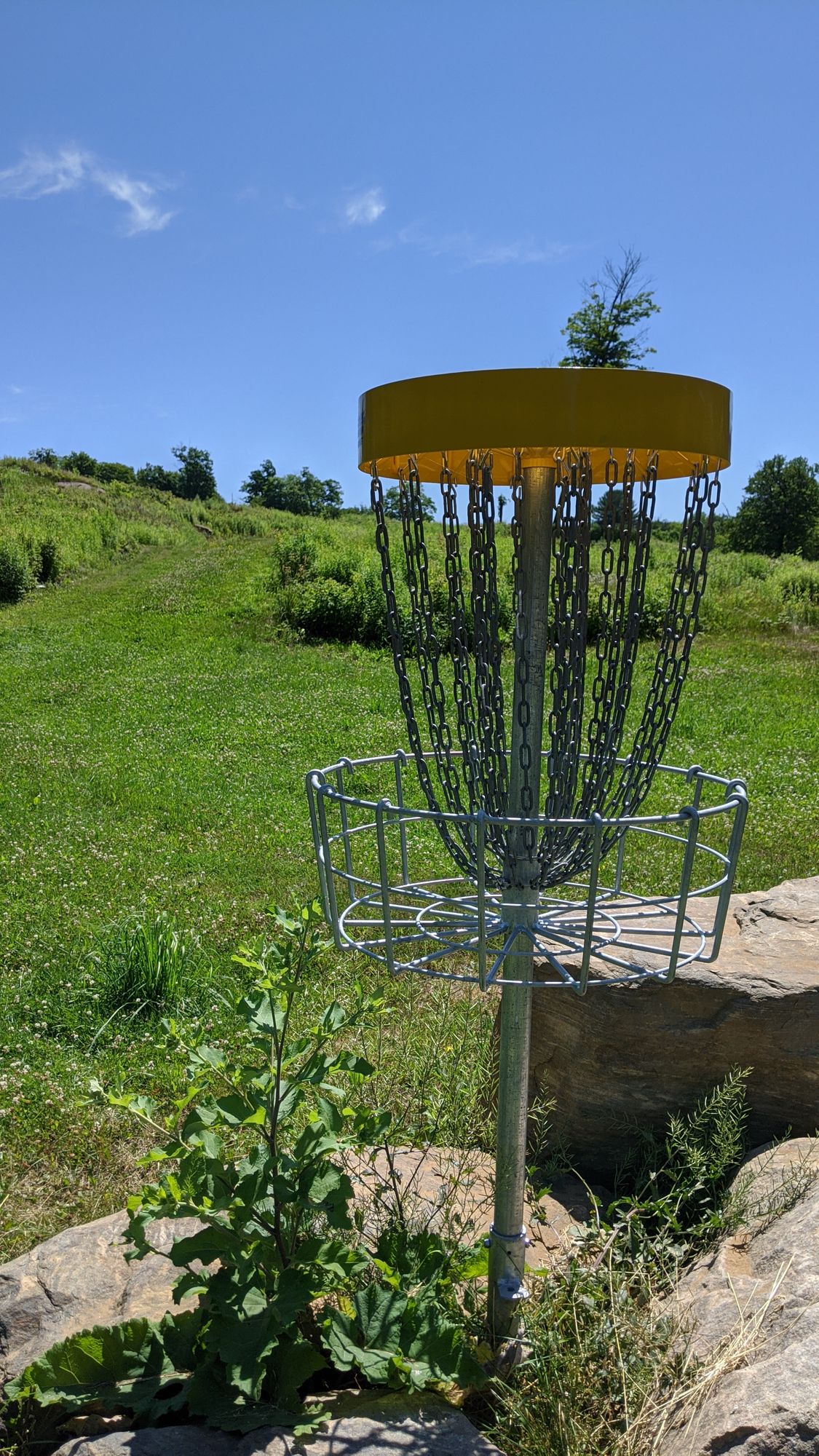 Innova Discatchers on all holes