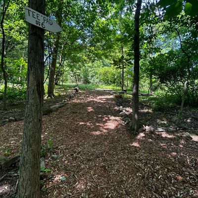 Hole 6 path