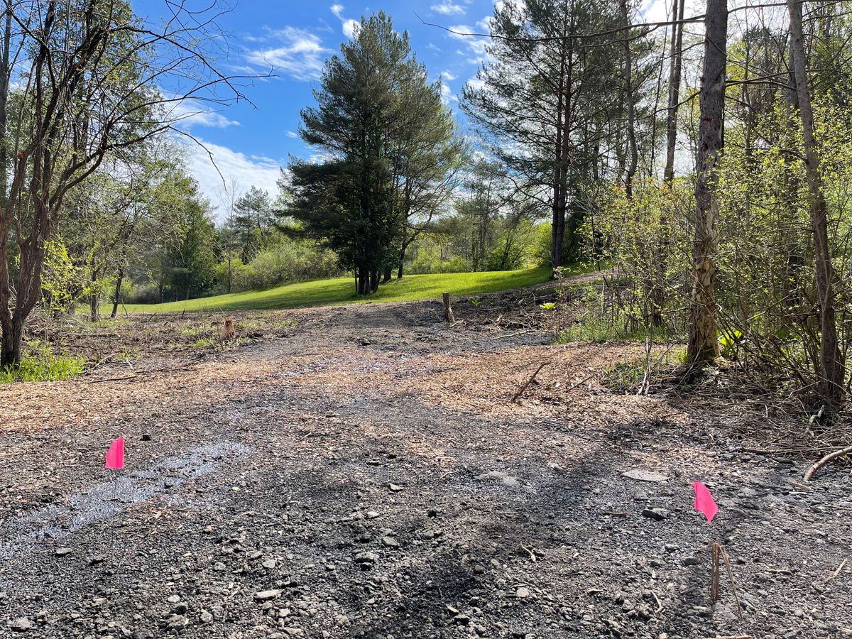 Hole 15 Long Tee