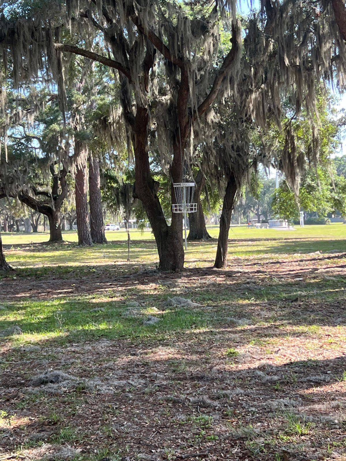 Hole 7 hanging basket.