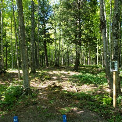 Hole 12