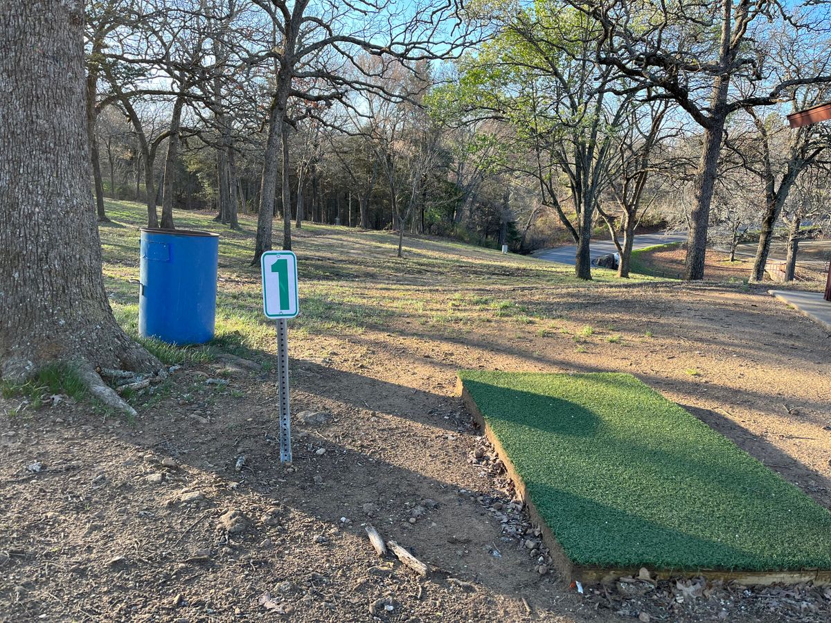 Hole 1, basket straight ahead