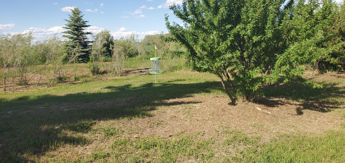 Hole 2 walks past #3 basket